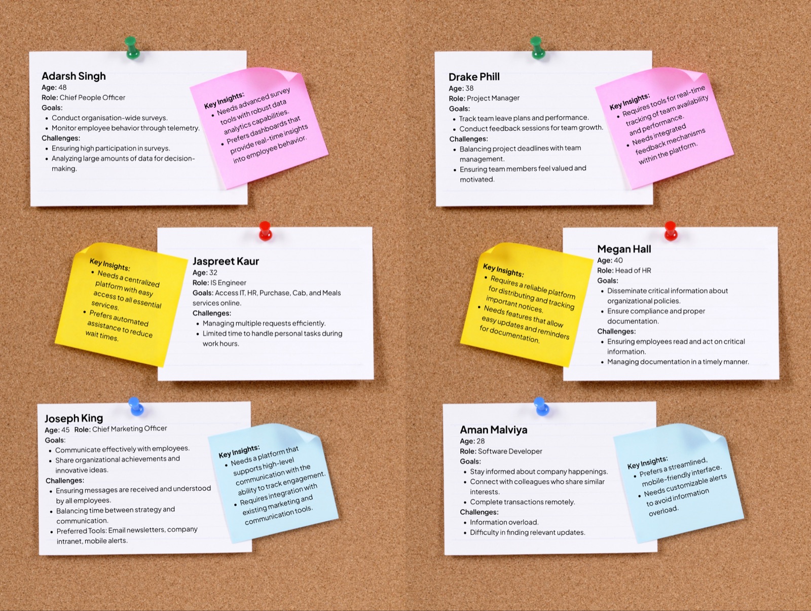 Six personas from software developer to chief people officer